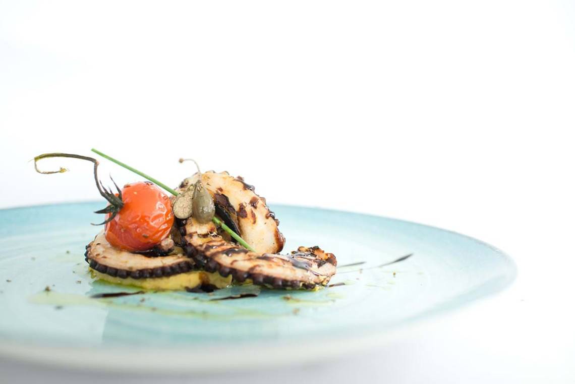 Gegrillter Tintenfisch auf einem Teller mit Tomaten und Kräutern