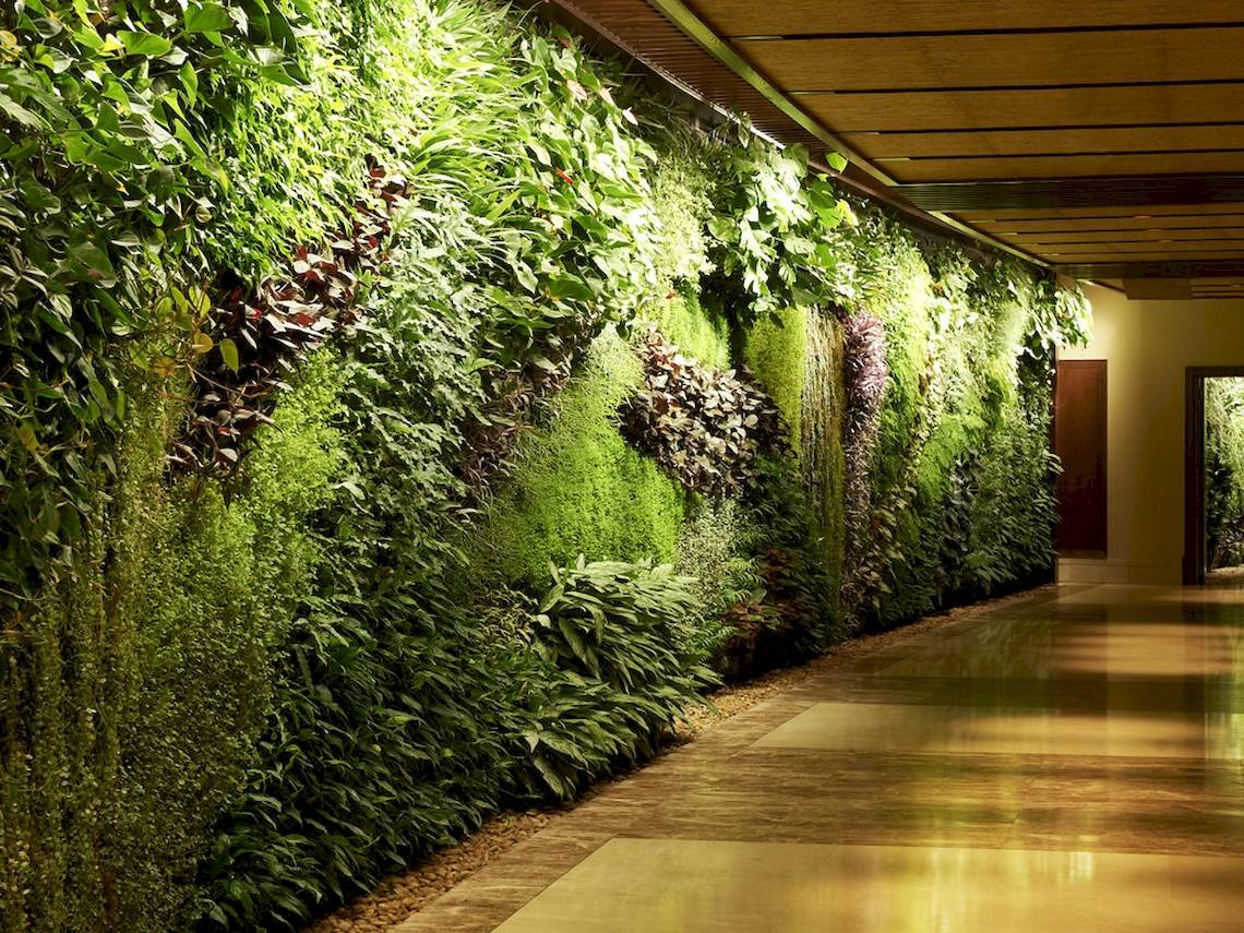 Grüne Wand im Korridor des Sofitel Dubai The Palm Hotels