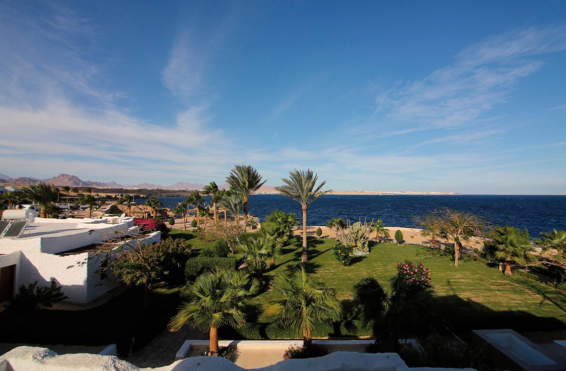 Ausblick auf das Meer und Palmen vom Sharm Club Beach Resort.