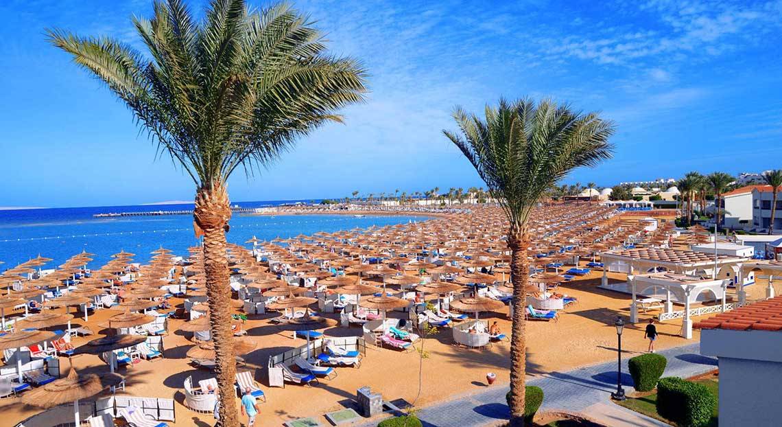 Dana Beach Resort, Hurghada, Strand, Meer, Palme