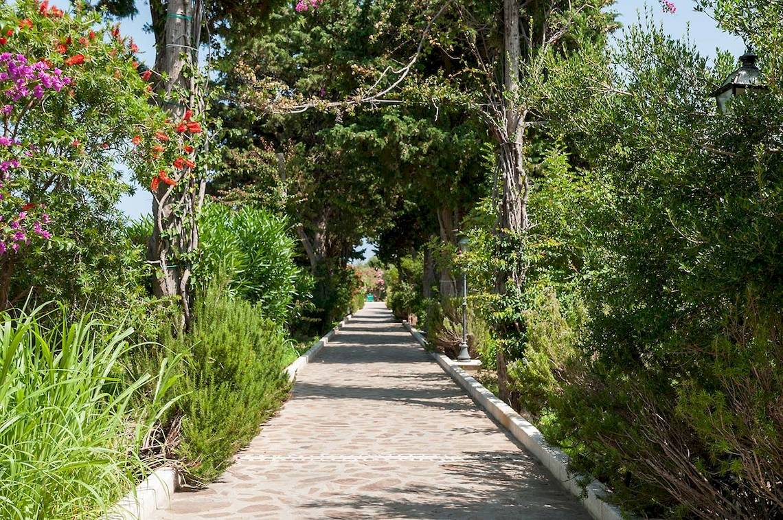 Gartenweg im Club Hotel Marina Beach mit Bäumen und Pflanzen
