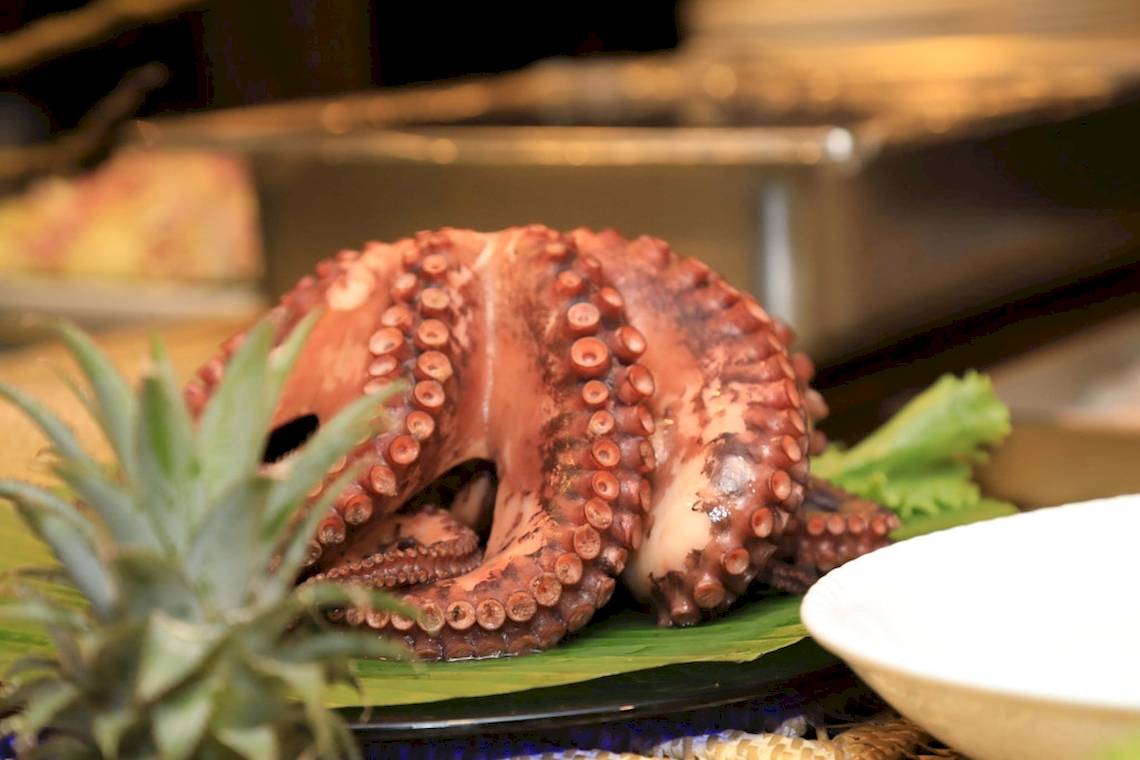 Gegrillter Oktopus auf einem Teller bei La Digue Island Lodge.