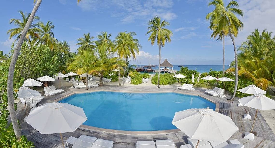 Luftaufnahme des Pools im Safari Island Resort mit weißen Sonnenliegen und Sonnenschirmen.