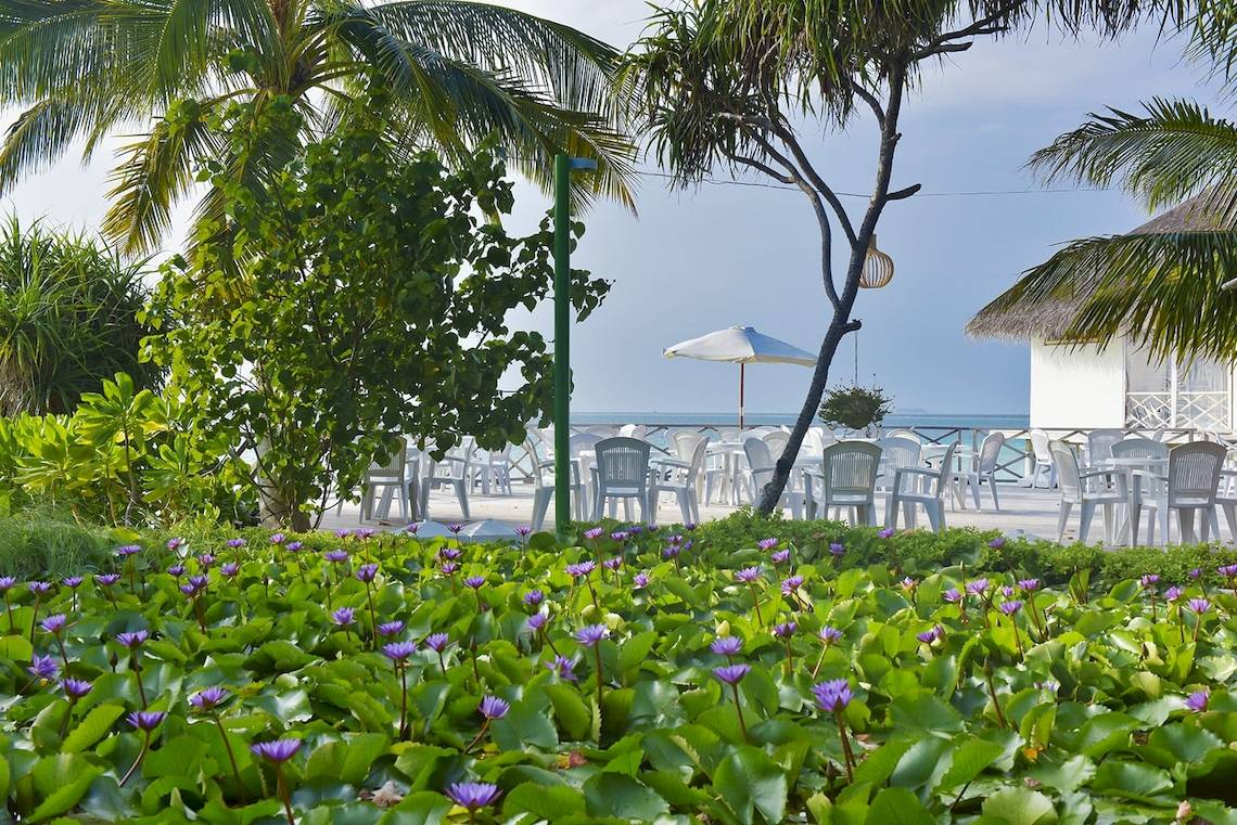 Terrasse im Safari Island Resort mit weißen Stühlen, einem weißen Sonnenschirm und grünen Pflanzen.