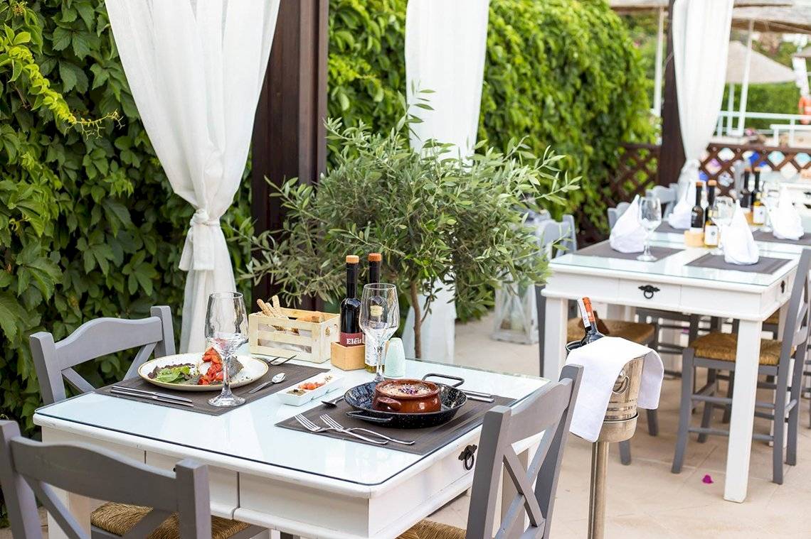 Hotelterrasse mit Tisch, Speisen und Getränken, umgeben von Pflanzen.