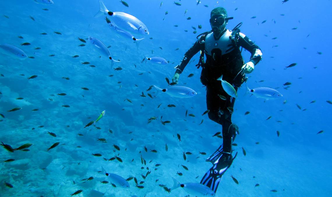 Ein Taucher im Meer, umgeben von einer Vielzahl von kleinen Fischen.