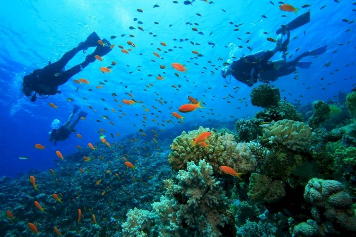 Parrotel Beach Resort in Sharm el Sheikh / Nuweiba / Taba