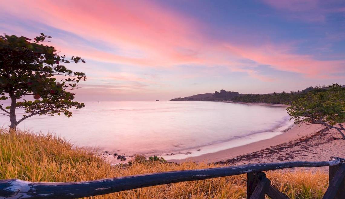 Strand mit Sonnenuntergang, rosa Himmel, Baum und Wellen