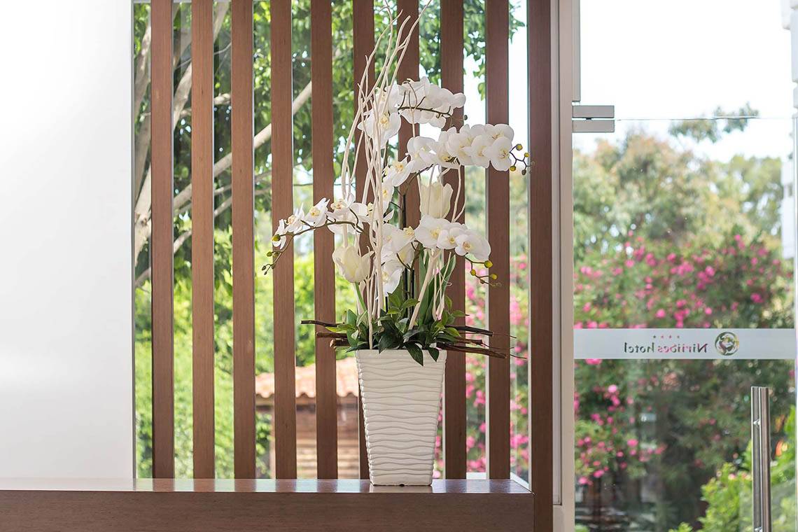 Weiße Orchideen in einem weißen Blumentopf im Eingangsbereich des Niriides Beach Hotels