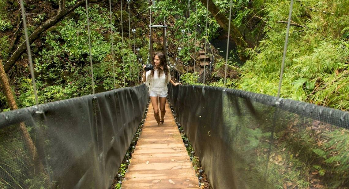 Eine junge Frau mit einer Kamera geht auf einer hängenden Holzbrücke im Dschungel des Occidental Papagayo.