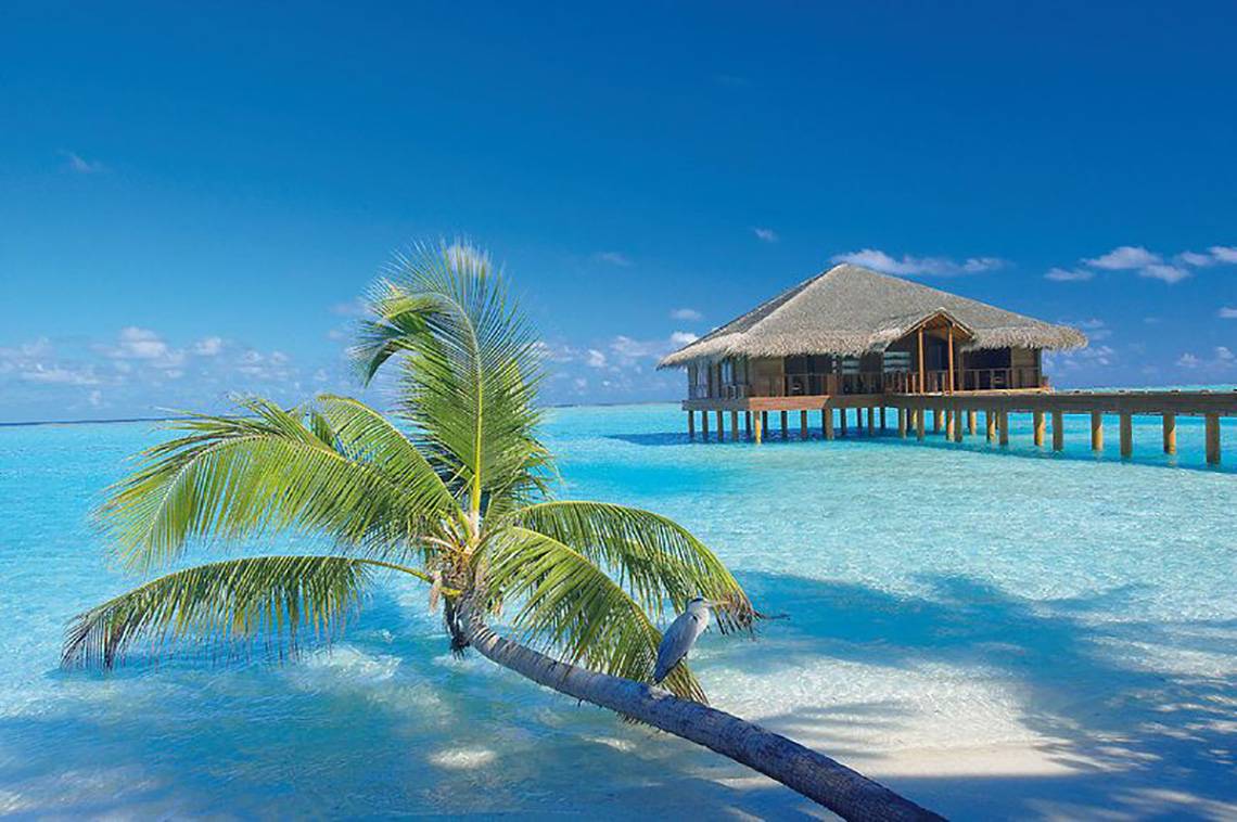 Medhufushi Island Resort in Malediven