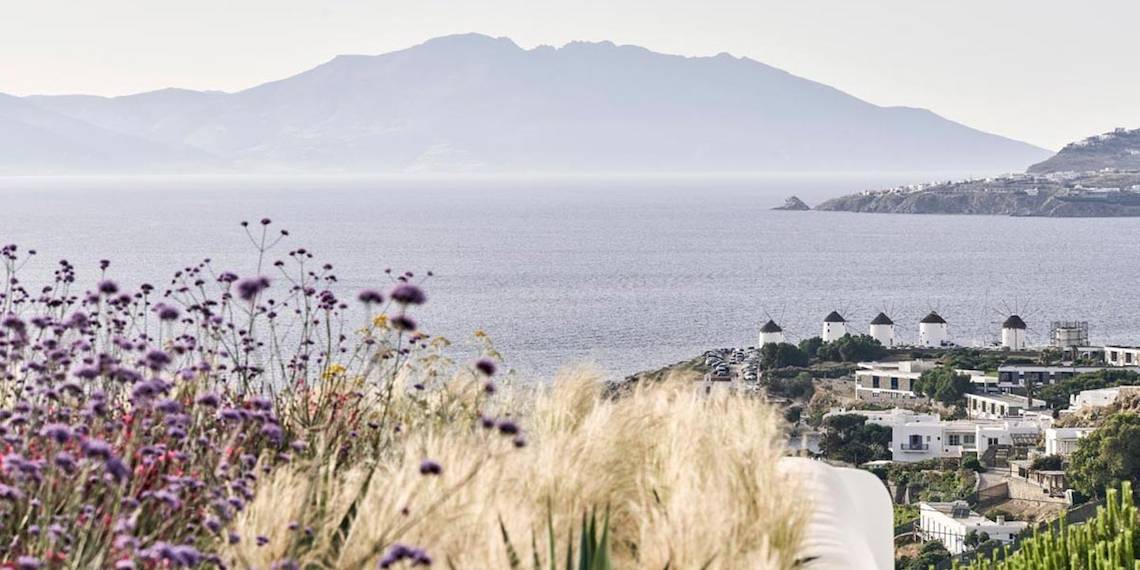Aussicht auf Mykonos mit Meer und Blumen im Vordergrund.