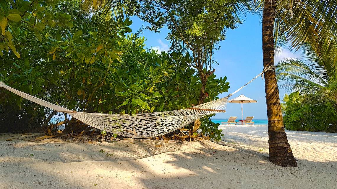 Eine Sonnenliege am Strand unter einer Palme im Barefoot Eco Hotel.