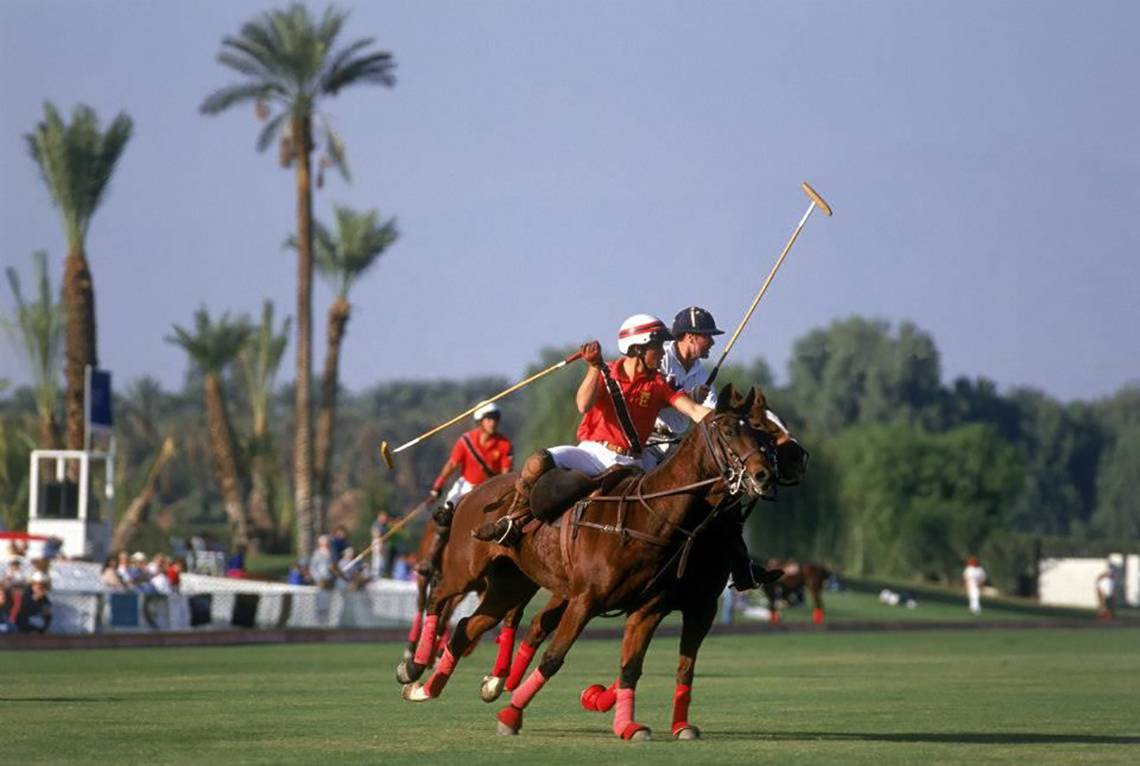 Polospieler auf Pferden im Golffeld mit Palmen im Hintergrund