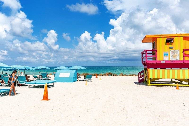 The Palms Hotel & Spa in Miami