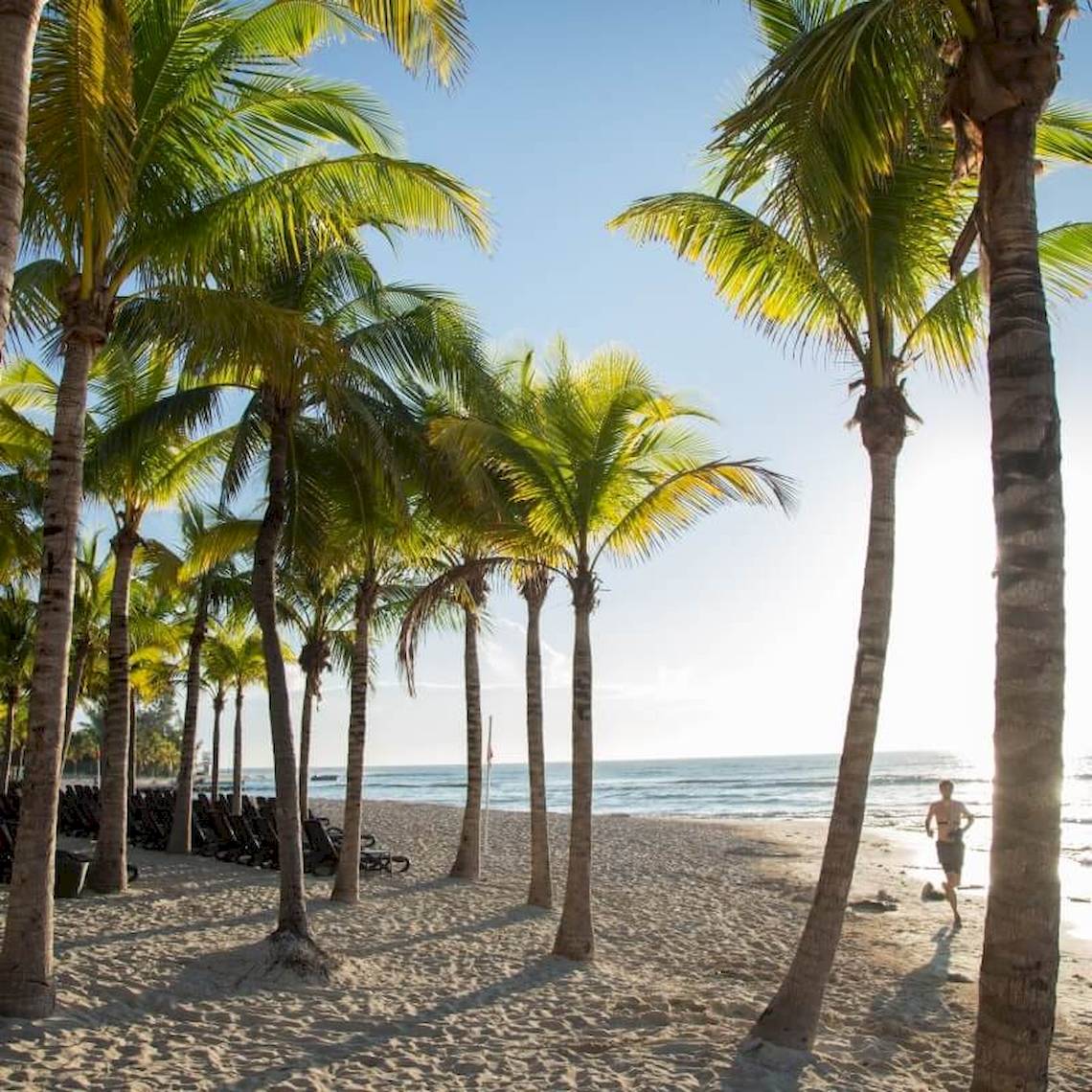 Strand des Sandos Caracol Eco Resorts mit Palmen und einem Läufer