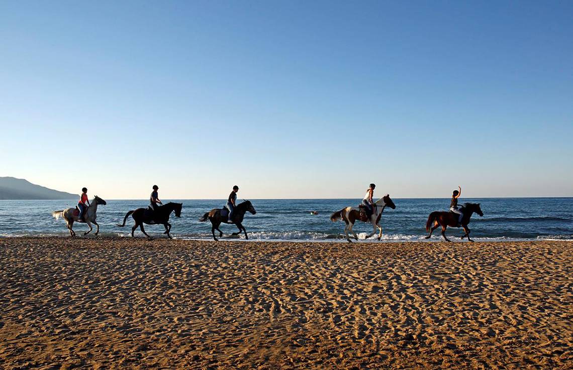 Fünf Menschen reiten Pferde am Strand im Orpheas Resort.