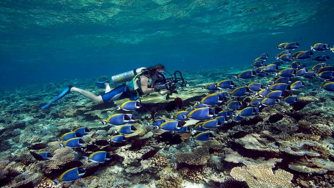 Dhawa Ihuru Maldives in Malediven