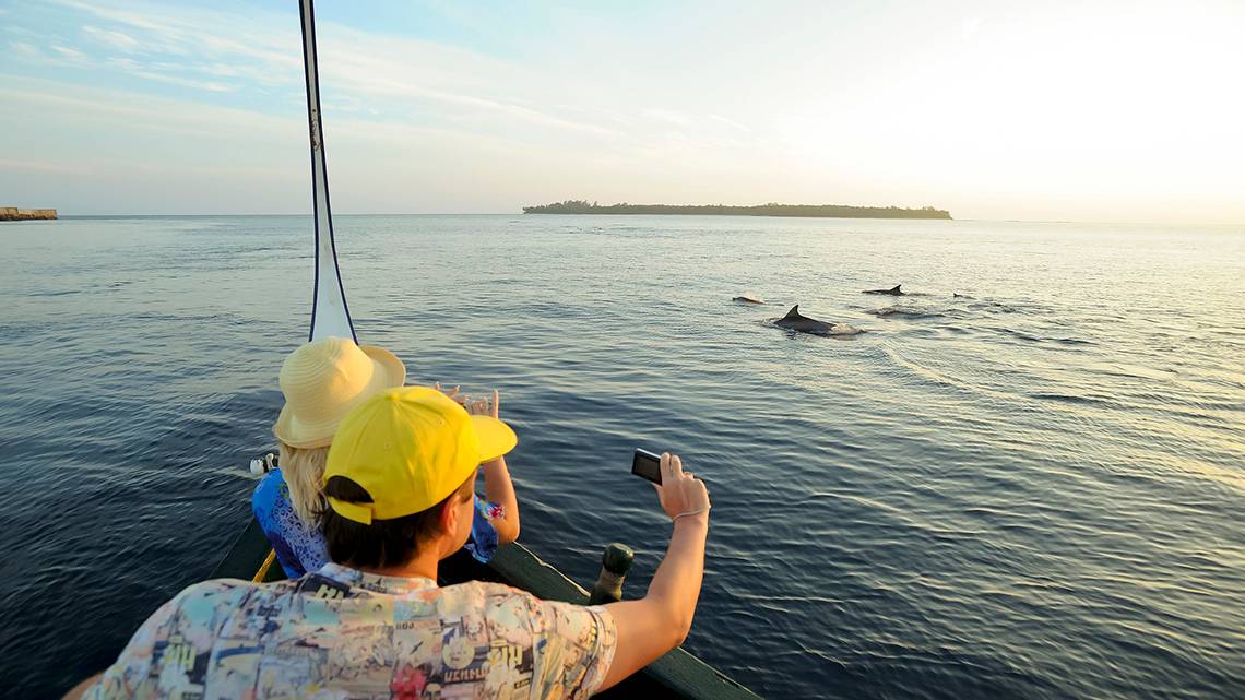 Zwei Touristen beobachten Delfine im Meer von einem Boot aus.