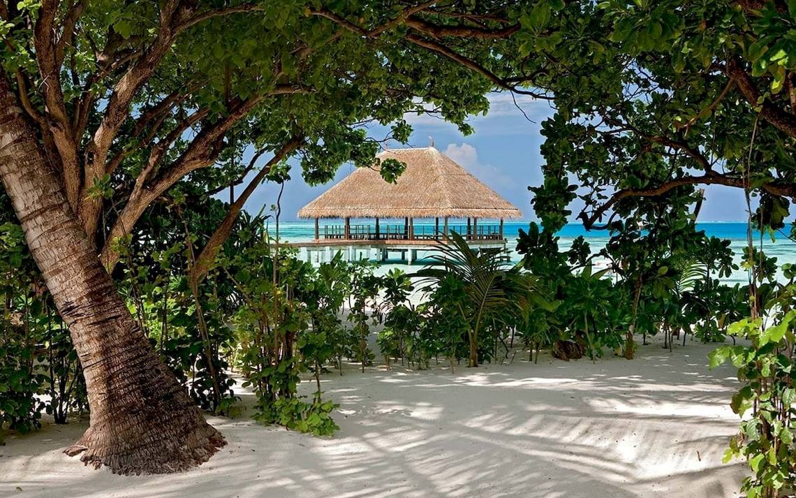 Constance Ephelia Mahe Seychelles