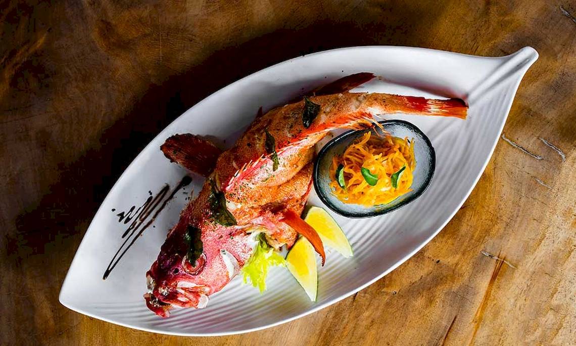 Ein gegrillter roter Fisch auf einem weißen Teller mit Beilagen