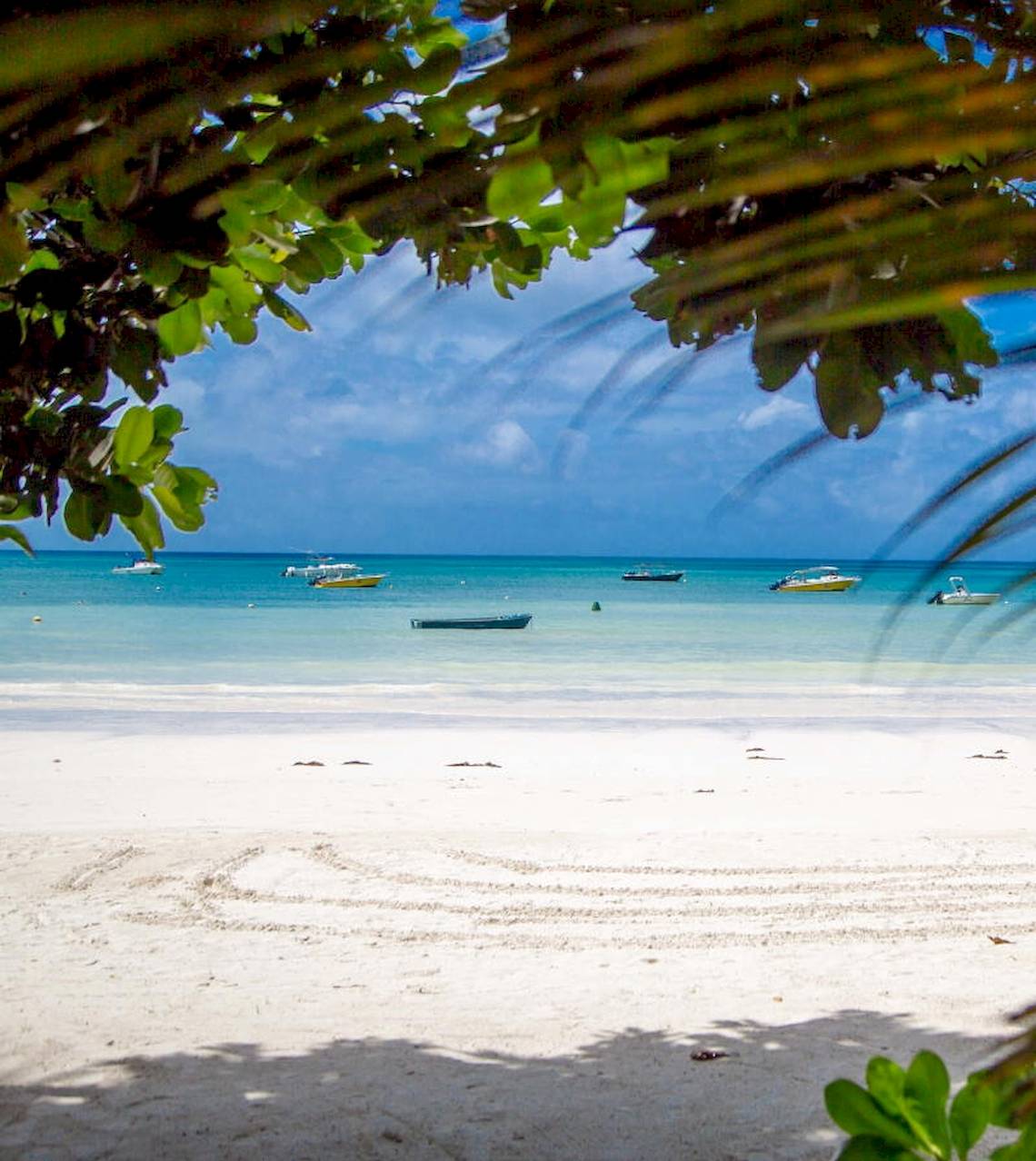 Weißer Sandstrand mit mehreren Booten im Wasser und grünen Bäumen im Vordergrund.