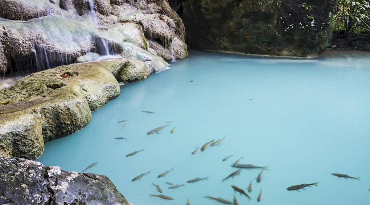Kristallklares Wasser mit Fischen neben Felsen und Wasserfall im Centara Anda Dhevi Resort & Spa.