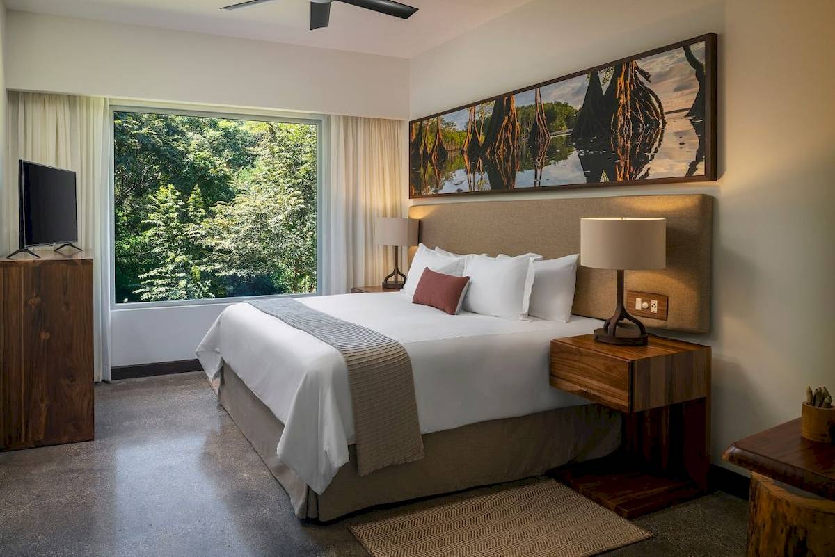 Hotelzimmer im El Mangroove, Autograph Collection mit großem Fenster, Ausblick auf Bäume, Bett, Fernseher und Nachttische.