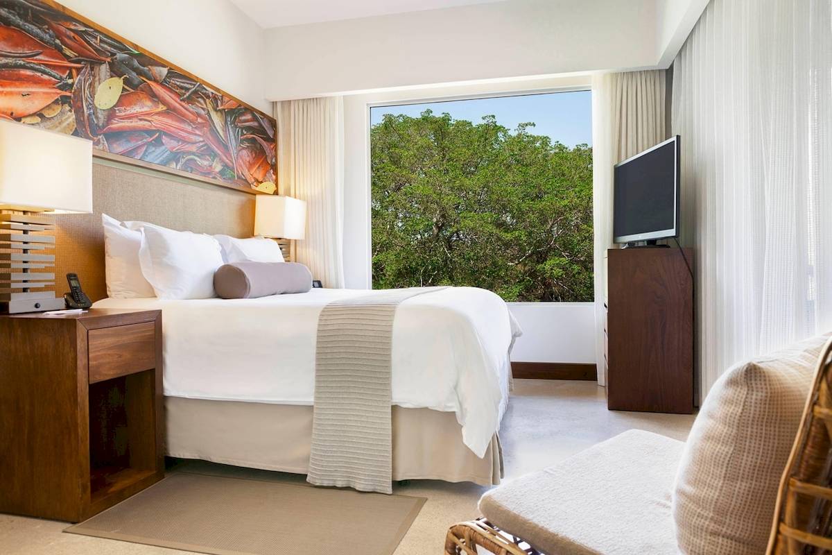 Hotelzimmer im El Mangroove, Autograph Collection mit großem Bett, Fernseher und Ausblick auf Bäume.