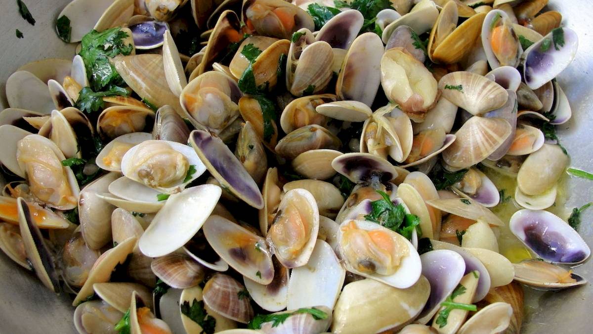 Eine Schüssel voller Muschelschalen mit grünen Kräutern obenauf.