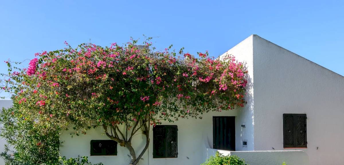Pedras da Rainha Resort in Portugal