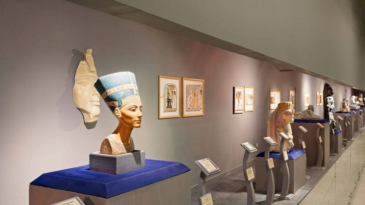 Sammlung alter ägyptischer Kunstwerke in einem Museum, darunter eine Statue der Königin