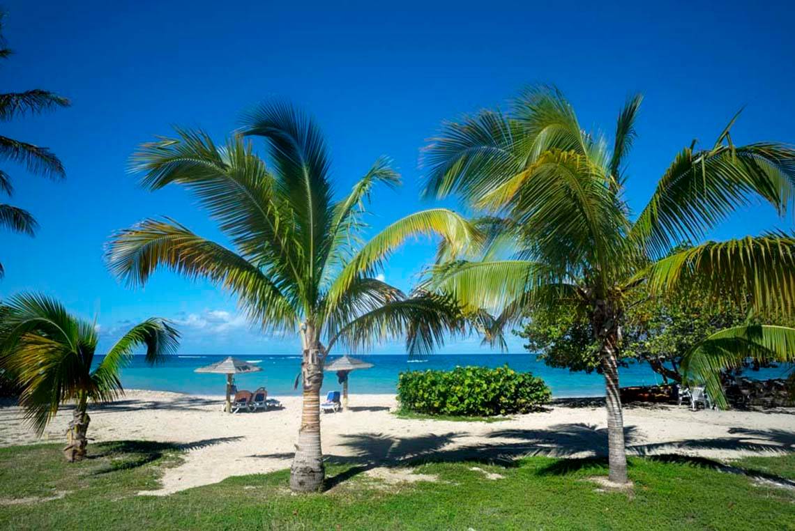 Palmen am Strand von Memories Jibacoa Resort mit Sonnenschirmen und Lounge-Stühlen.
