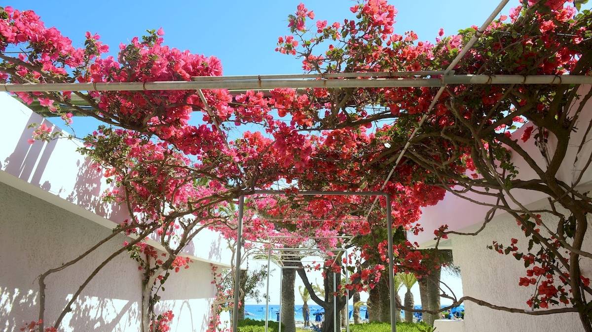 Blue Horizon Hotel, Rhodos