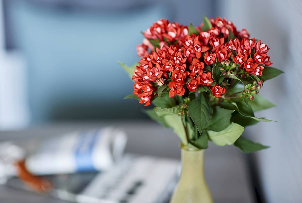 Roter Blumenstrauß mit grünen Blättern in einer gelben Vase auf einem Tisch