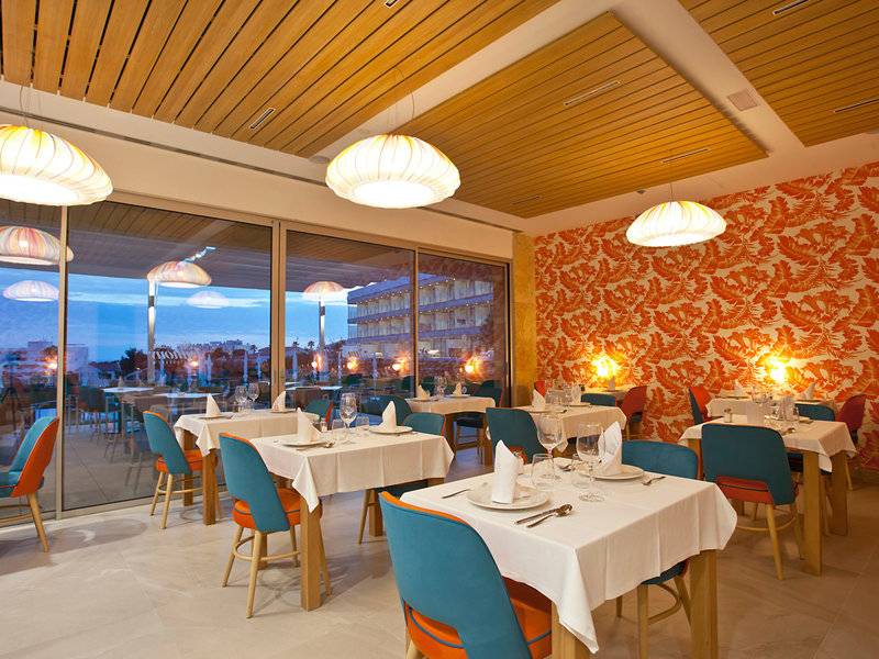 Innenansicht des Restaurants im Seth 55 Santo Tomás mit blauen Stühlen und orangen Wänden.