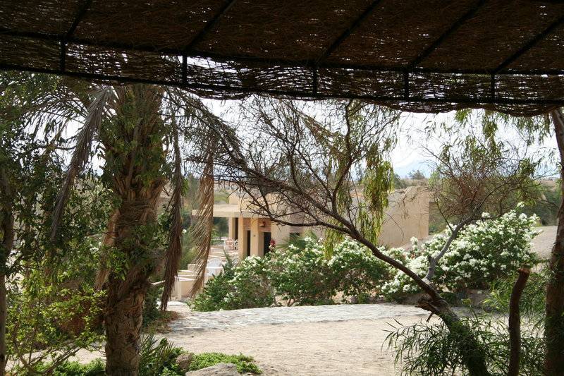 Aussicht auf das Mangrove Bay Resort mit weißen Blumen und Bäumen vor dem Gebäude.