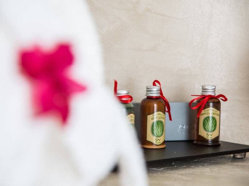 Cycladic Islands Hotel & Spa in Naxos