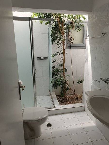 Ein Badezimmer mit einer Glasdusche, einem WC, einem Waschbecken und einer Pflanze.