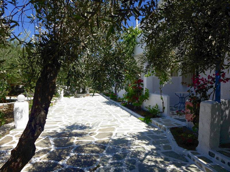 Amaryllis Paros Beach Hotel