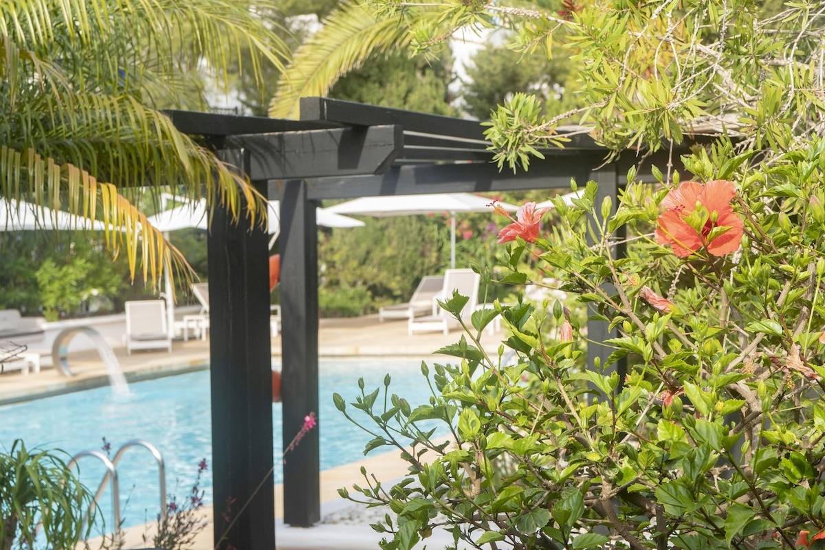 Poolbereich im Paraiso de los Pinos Hotel mit Pflanzen und Liegestühlen.