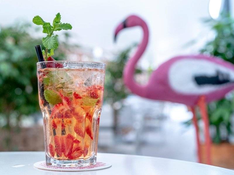 Ein Cocktail im Glas mit Eis, Früchten und Minze, vor einem rosa Flamingo.