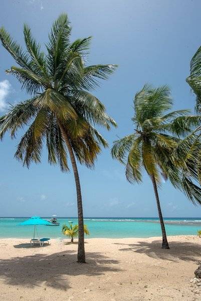 The Sands Barbados Hotel - Barbados