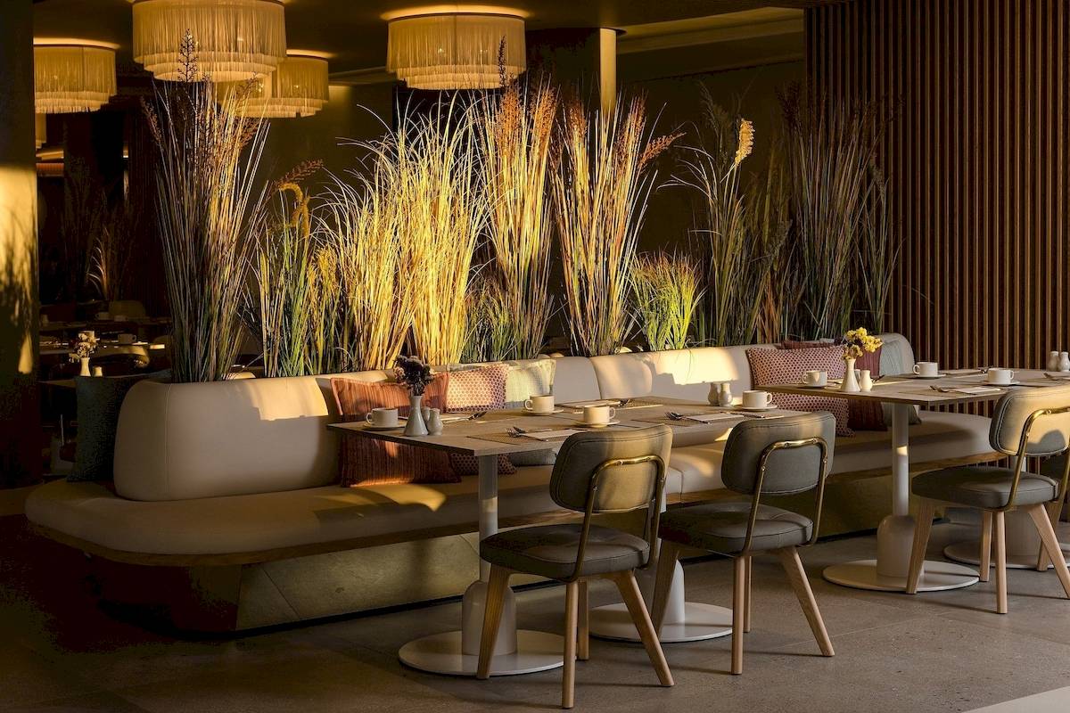 Plus Fariones Suite Hotel Innenraum mit beleuchteten Pflanzen und Sitzgelegenheiten.
