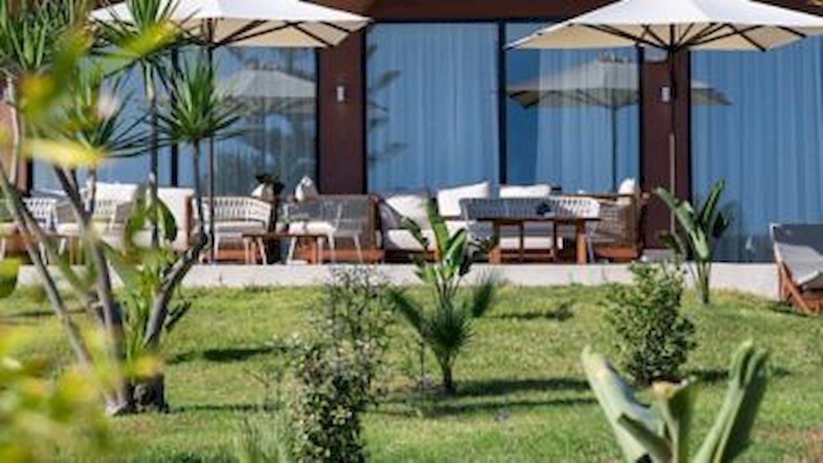 Domes Aulus Zante, Autograph Collection