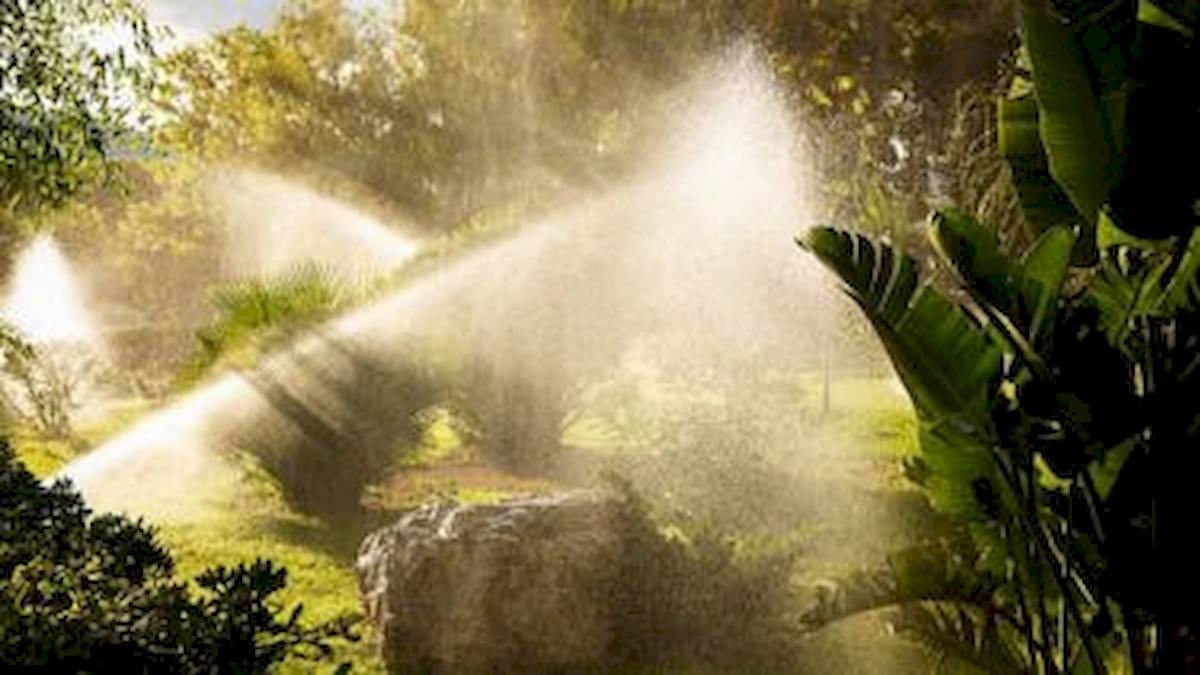 Bewässerungssystem im Garten mit Wasserstrahlen, die Pflanzen befeuchten.