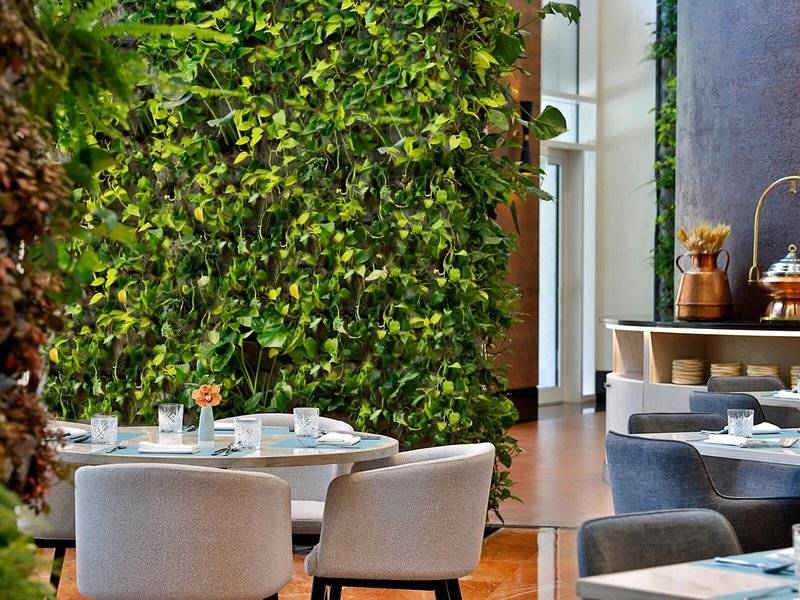 Innenansicht eines Restaurants im Ritz-Carlton Doha mit Sitzecke und grüner Wand.