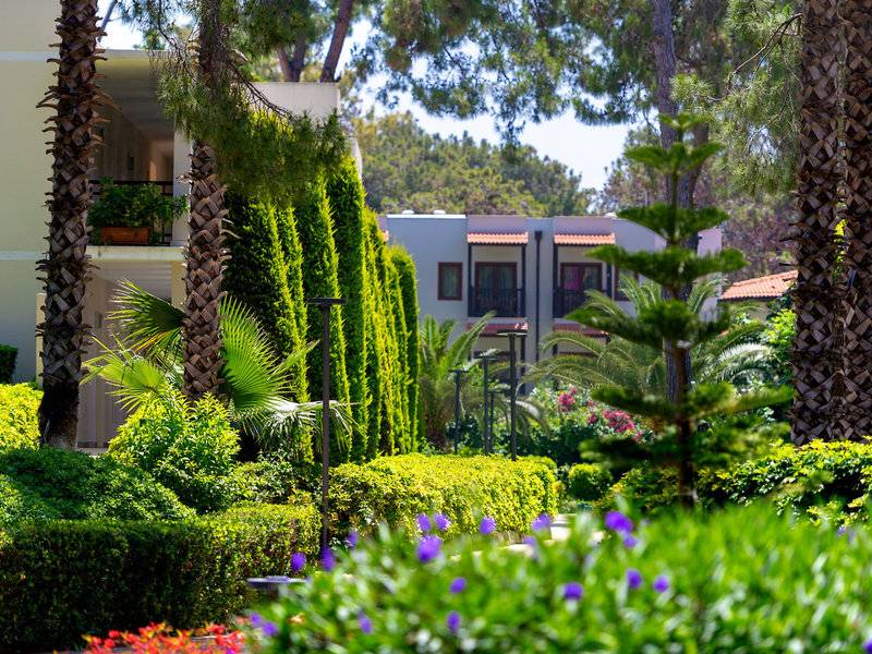 Gartenbereich des Turquoise Hotels mit Palmen und grünen Hecken.