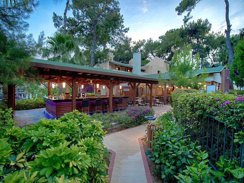 Außenbereich des Turquoise Hotels mit Bar, umgeben von Pflanzen und Bäumen