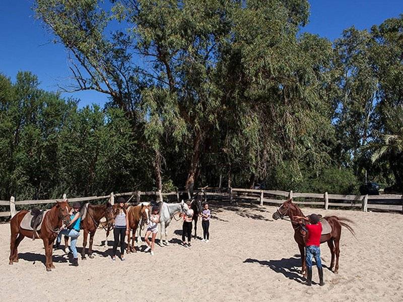 Gruppe von Reitern und Pferden im Sahara Beach AquaPark Resort